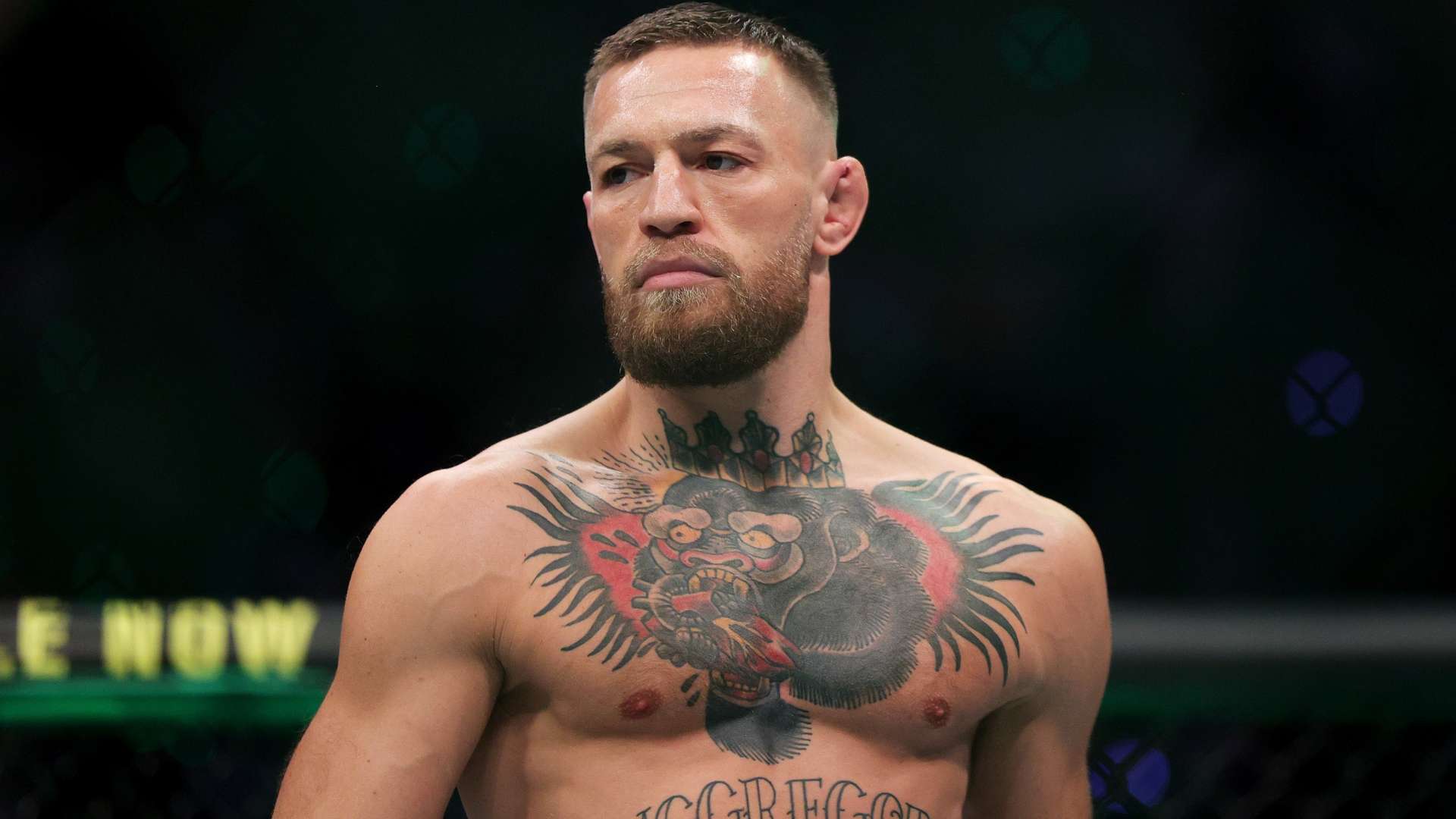 参与高水平 参与高水平