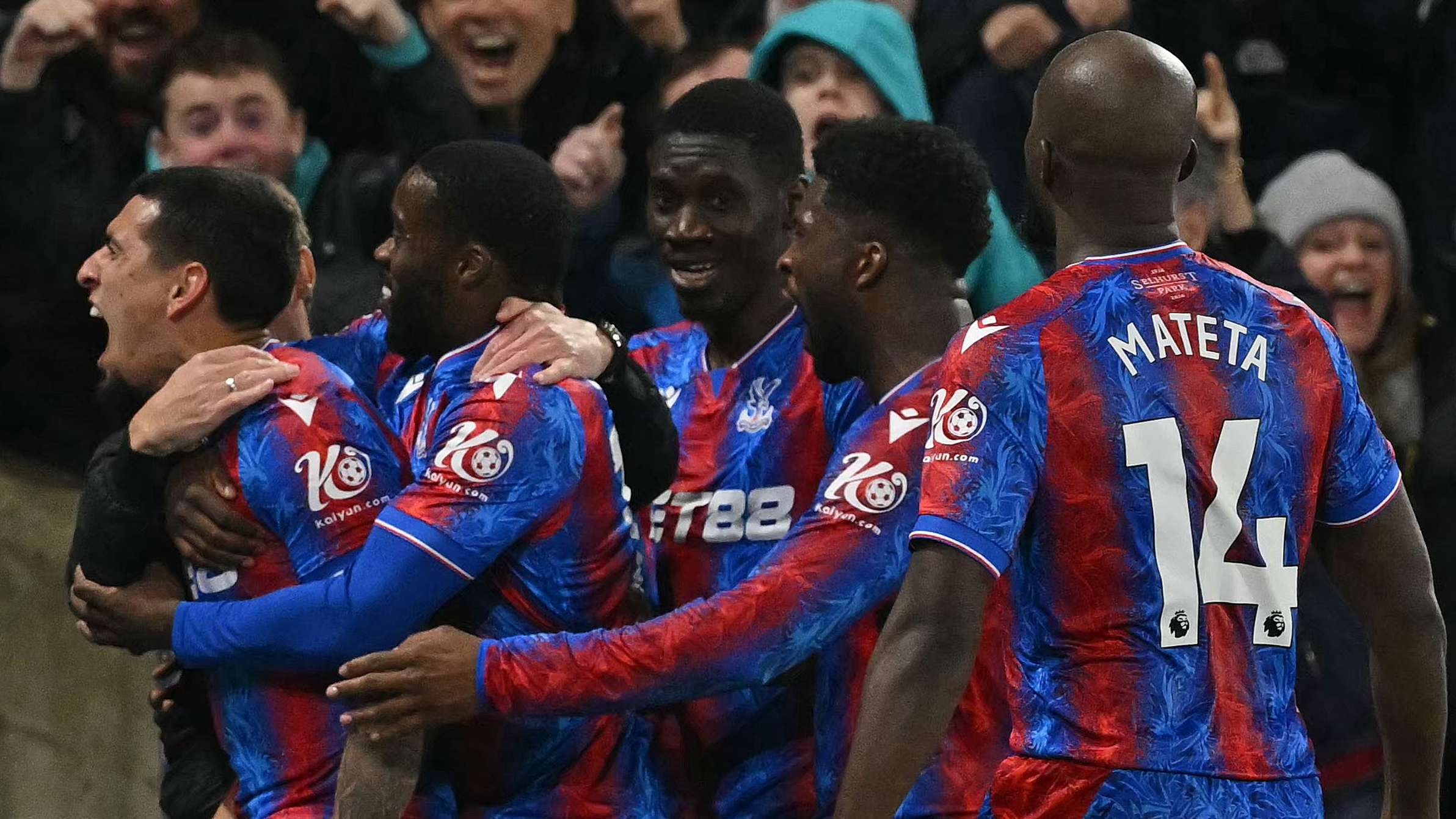 和适应性 和适应性