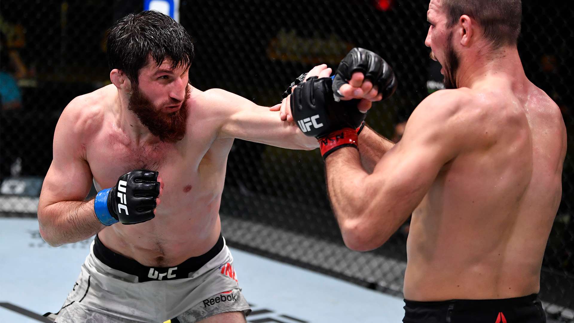 动员的关注 动员的关注